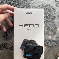 GoPro Hero + Social Media Straps 