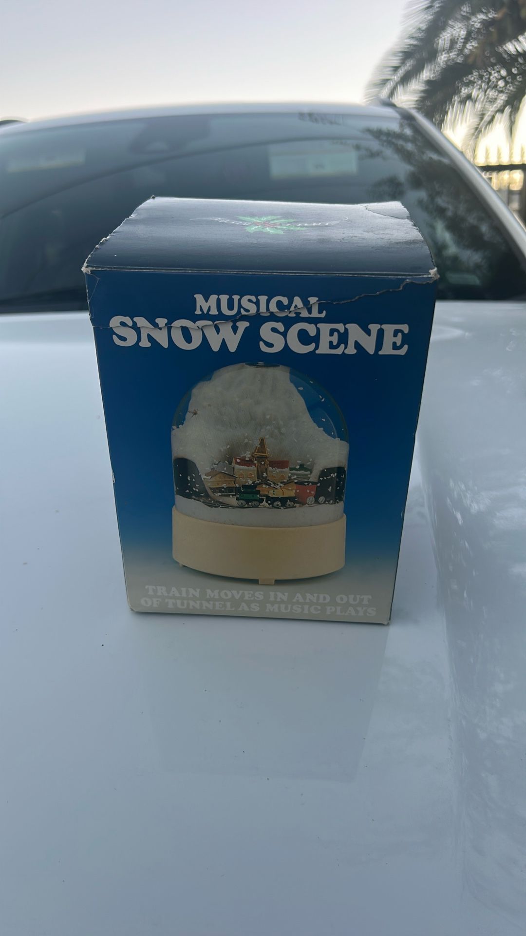 Snow Globe