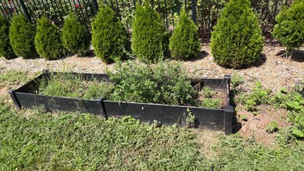 Used raised planter beds (8)