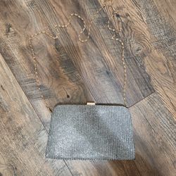 Silver Sparkly Purse