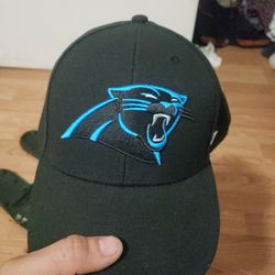 Panthers Nfl Hat