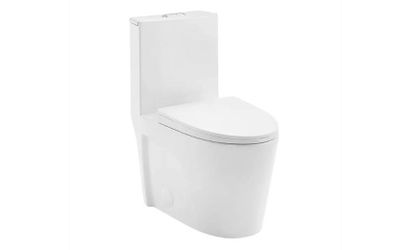 DEER VALLEY Ace 1-Piece Dual Flush Elongated Toilet