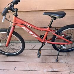 Giant Xct Kids Mountain Bike 20”