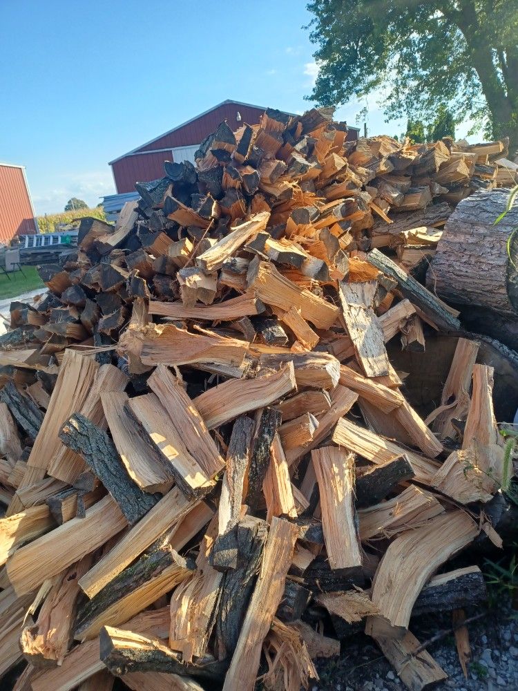 Firewood