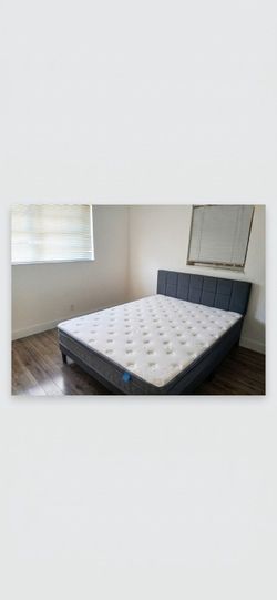 Queen Bed + Mattress Set