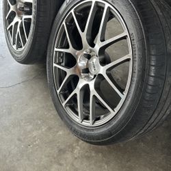 Rines 20 S 