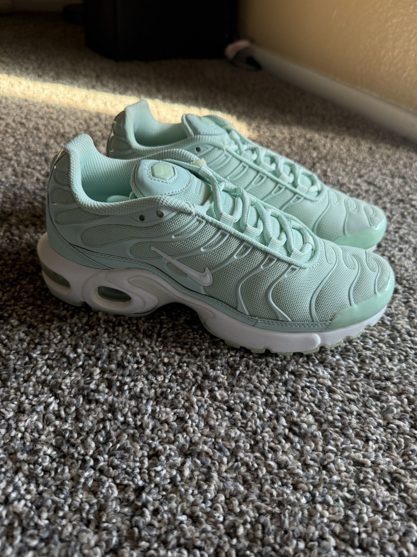 Nike Air Max Plus / Vans Old Skool