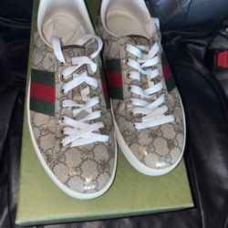 Gucci ace