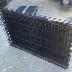 Large dog cage