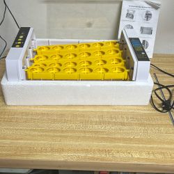 The Eggs Chick Make Baby