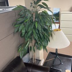 Fake Trees For The Home Or Office