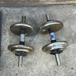 Pair Of 30lbs Dumbbells 