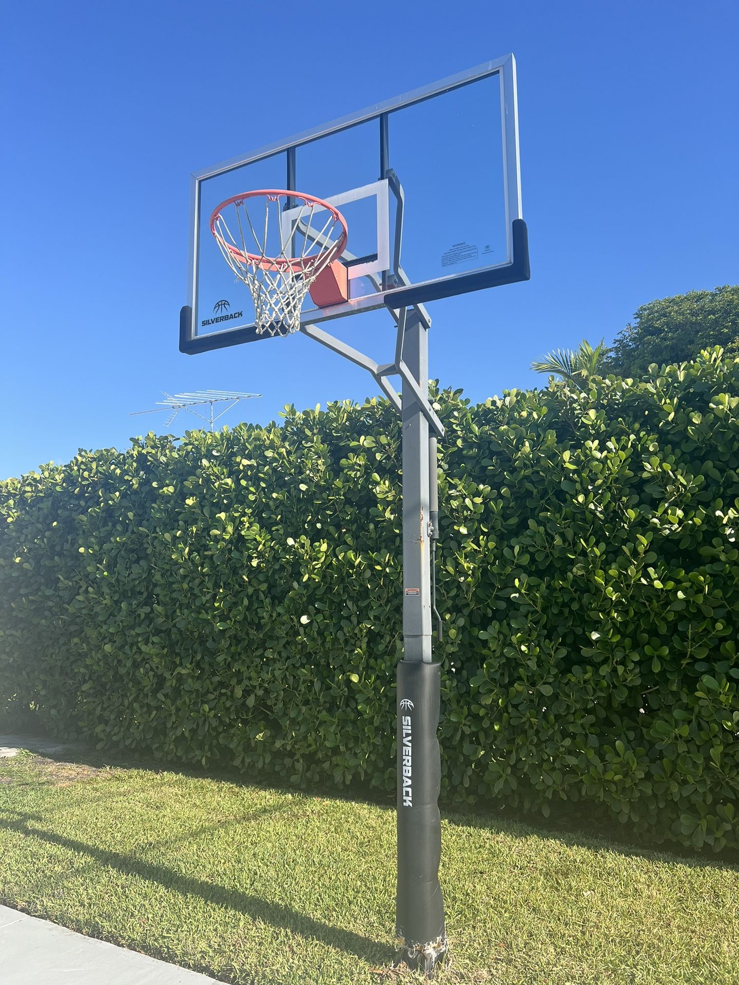 Silverback In Ground Basketball Hoop