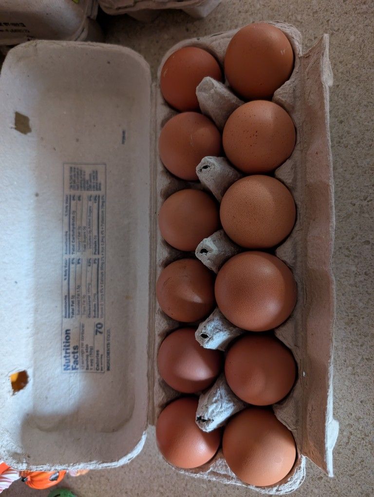 Farm Brown Eggs