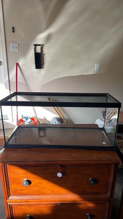 Glass Terrarium Tank with Screen Lid