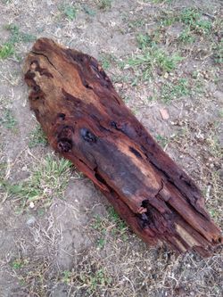 Genuine Driftwood For Aquariums Terrariums Decor