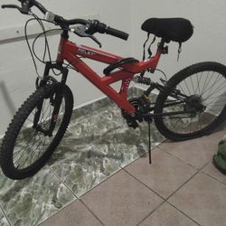 Boys Ntlet  Cruiser