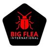 BIG FLEA INTERNATIONAL