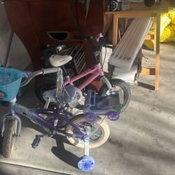2 Girls Bikes