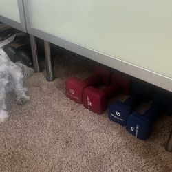 Barbells / Dumbbells 