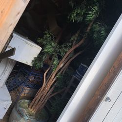 Large Decorative Tree