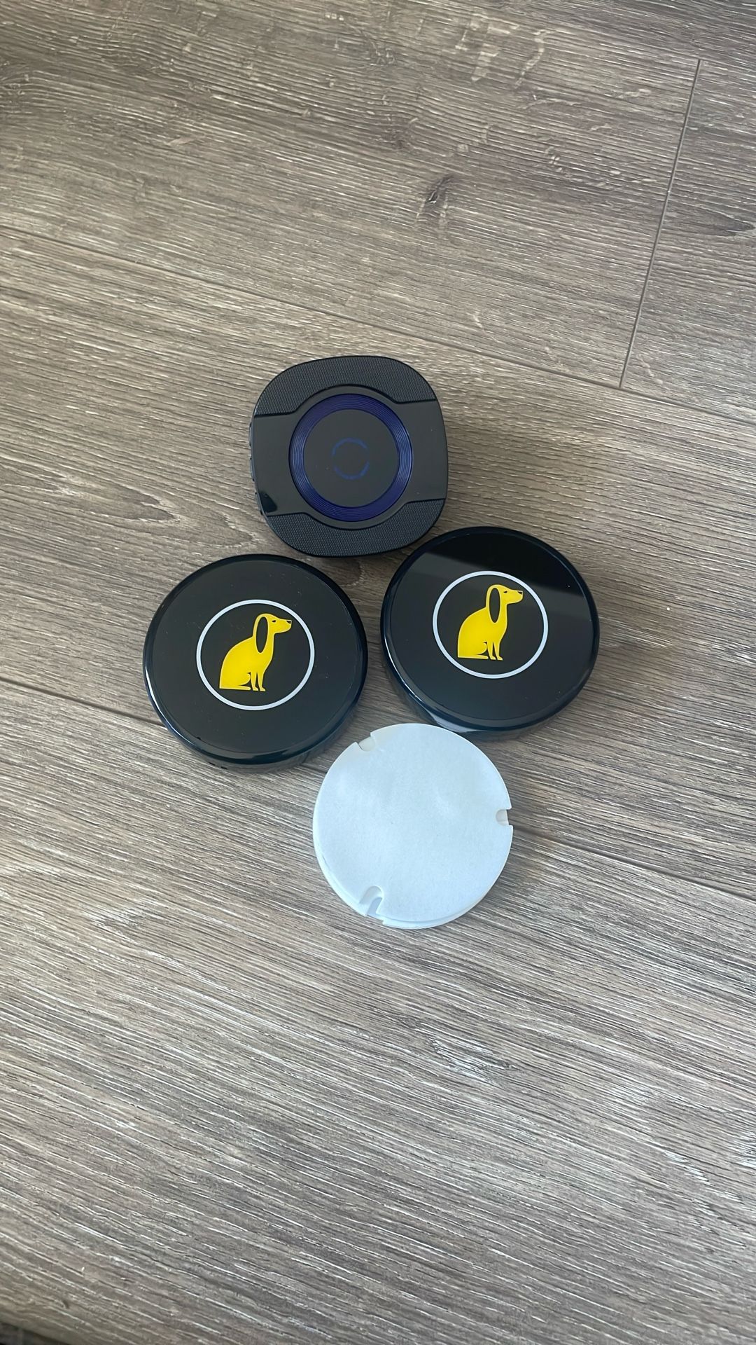 Doggie doorbell for potty training