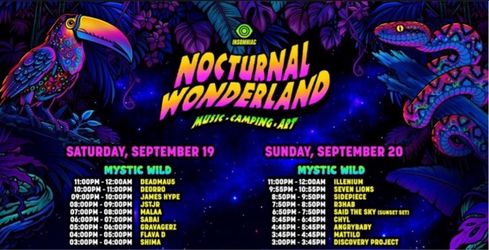 Nocturnal Wonderland 2 Day VIP