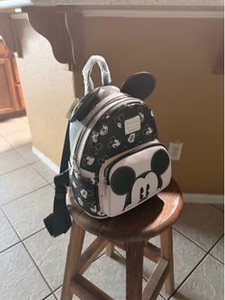 Mickey Mouse Lounge Fly Brand new