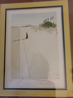 Salvador Dali Photo
