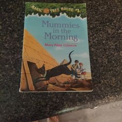 Magic Tree House Books