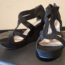 Gently WEDGES