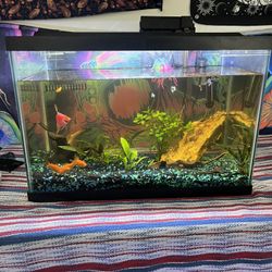20 gallon fish tank very good condition 