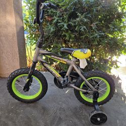 Toddler training bike 