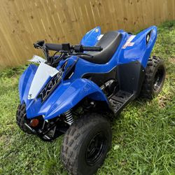2021 Kawasaki Kfx90