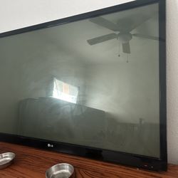 60 in LG Plasma tv
