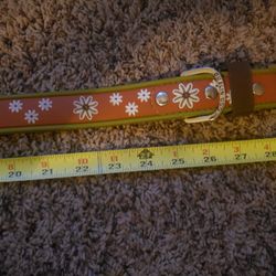 Dog Leash- Large.  Dublin Dog Co.  