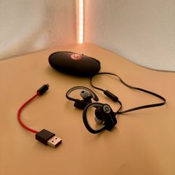 Powerbeats Wireless Earbuds