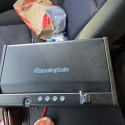 Sentry Safe Gun Safe