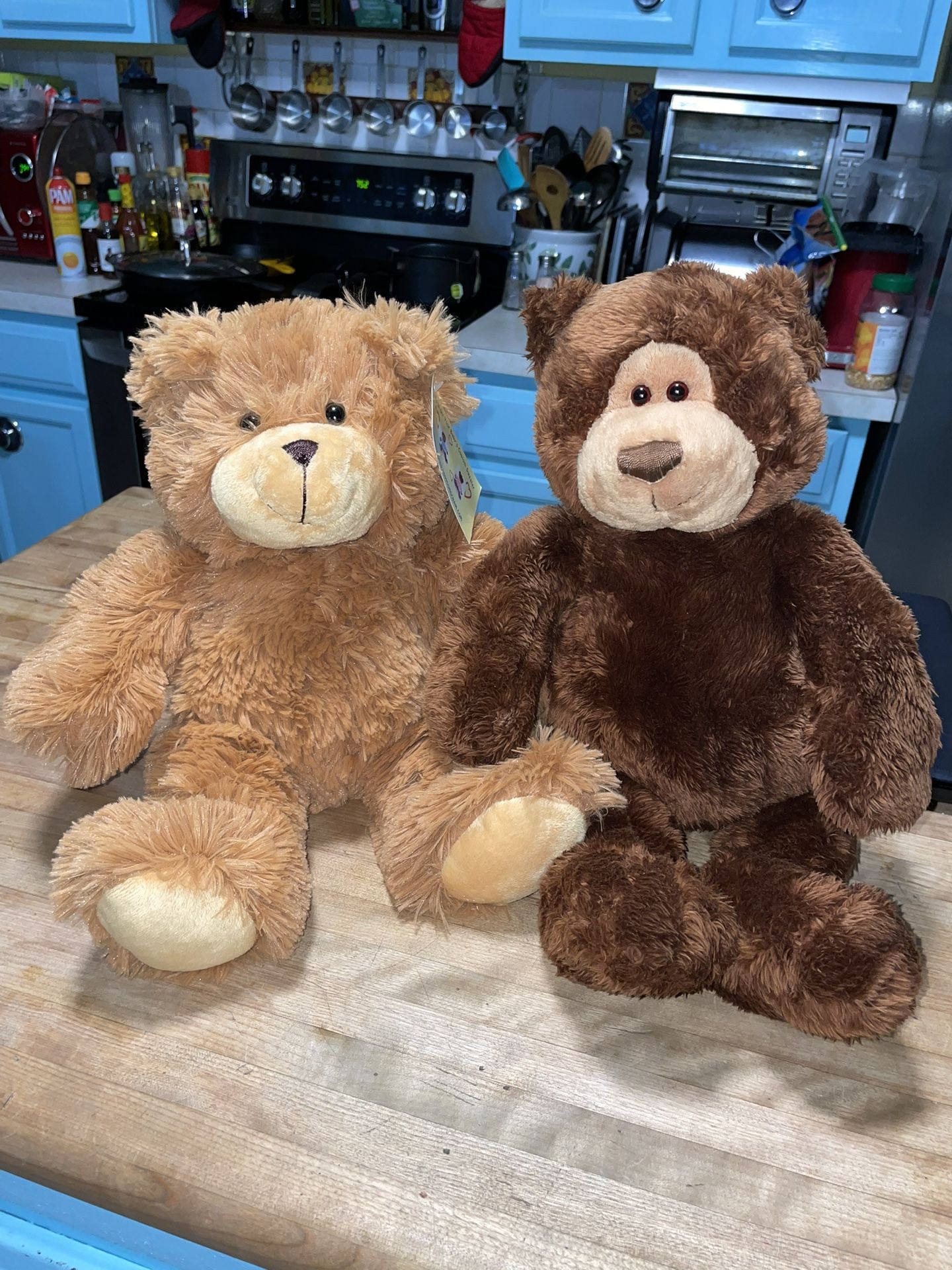 Set Of 2 Soft Plush Teddy Bears 