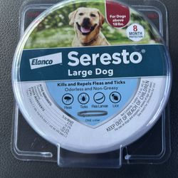 Large Dog Fleas And Ticks 