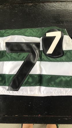 Custom made dog/animal vest cover