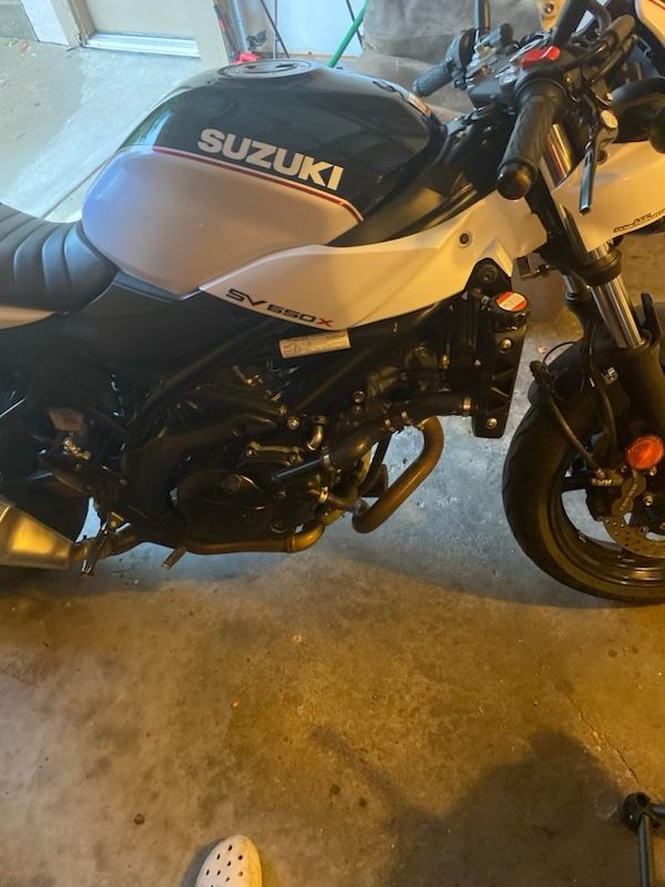 Sv650x Suzuki 2019