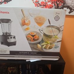 Vitamix 5300 Brand NEW IN BOX Must Sell Immediately 