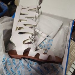 Link Kate -2k White Gladtors Size 13 