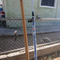 Maga Pole