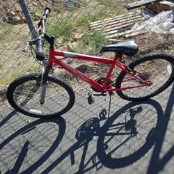 Roadmaster Bike
