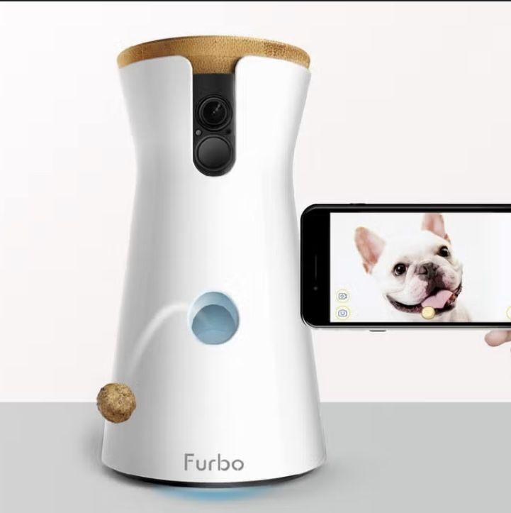 Camera Dog