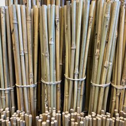 Bamboo Stakes/ Estacas de Bambú