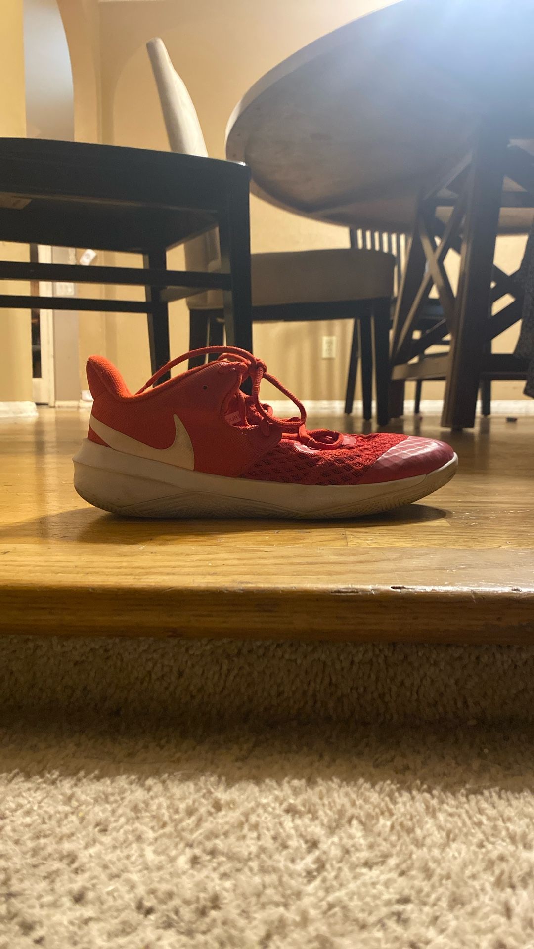 Nike Zoom Hyper Speed Court