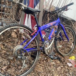 Vintage TREk